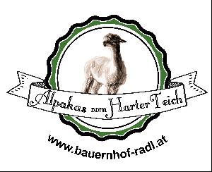 Alpakas vom HarterTeich