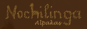 Nochilinga Alpakas