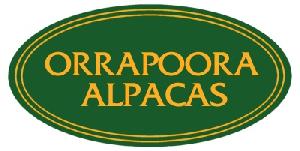 Orrapoora Alpacas